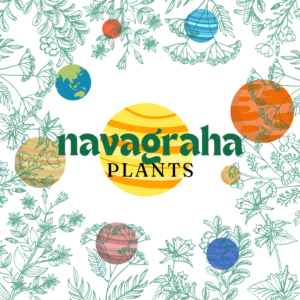 Navagraha Plants (9 Nos) - Set